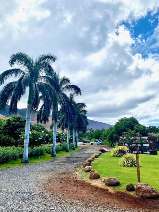 Campervan/Maui Hosted By Go Camp Maui キヘイ エクステリア 写真